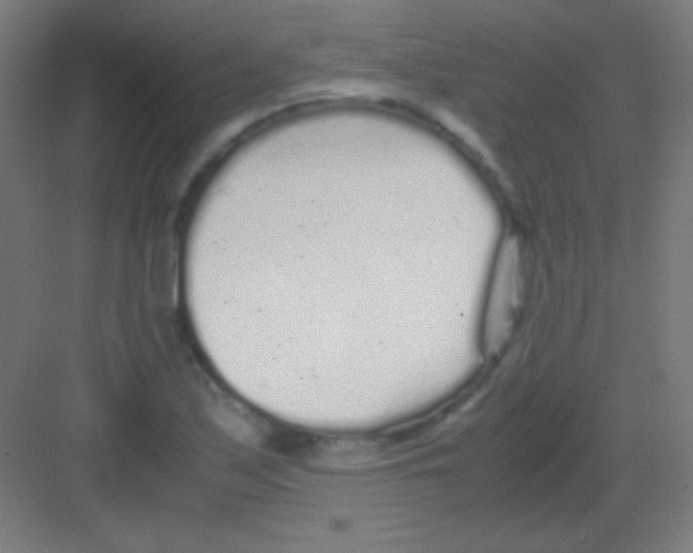 X0000081351171200702082247