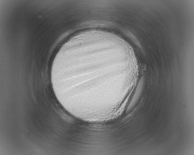 X0000081351172200702082247