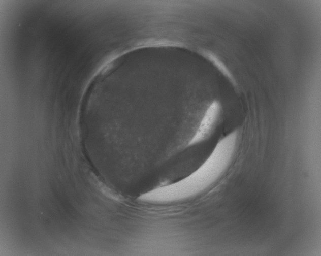 X0000081351173200702082247