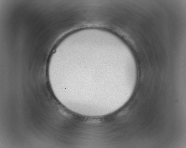 X0000081351174200702082247