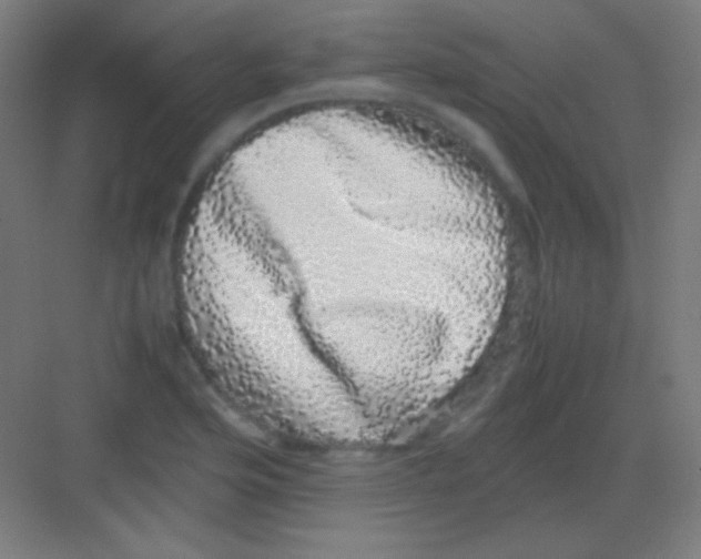 X0000081351176200702082247