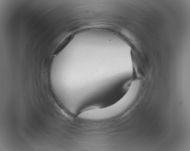 X0000081351177200702082247