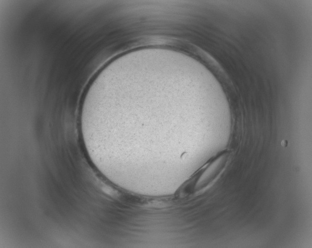 X0000081351178200702082247