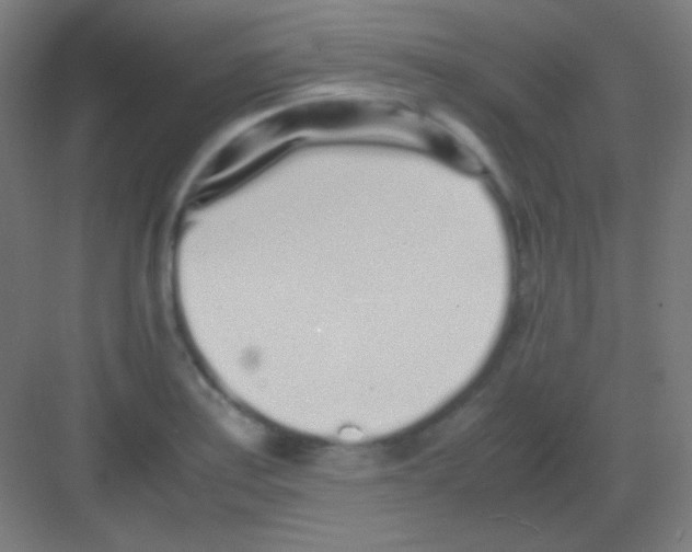 X0000081351179200702082247