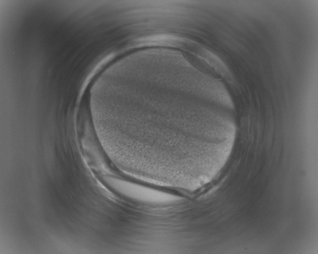 X0000081351180200702082247