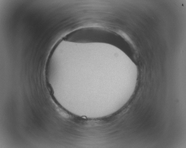 X0000081351181200702082247