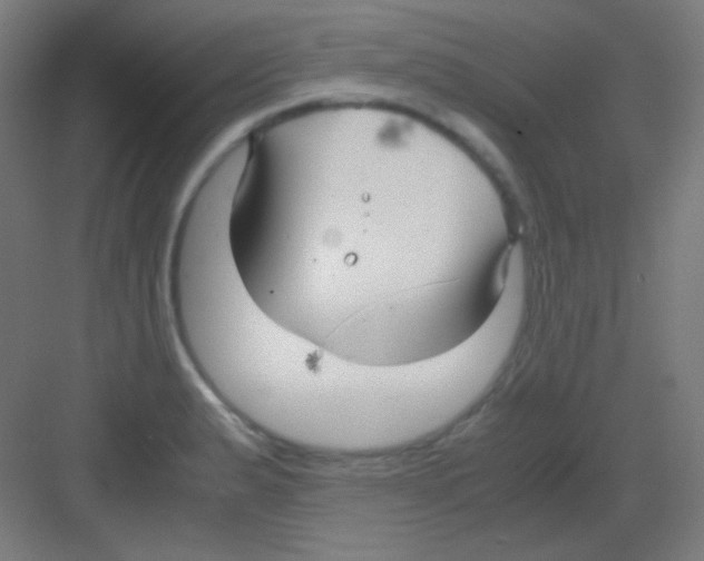 X0000081351183200702082247