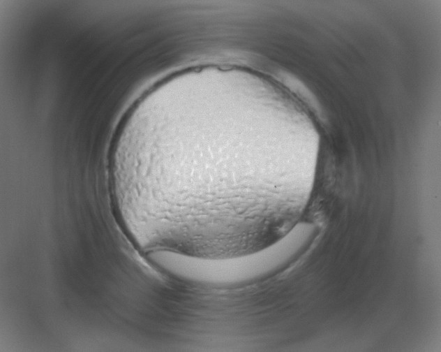 X0000081351184200702082247