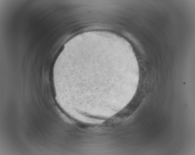 X0000081351185200702082246