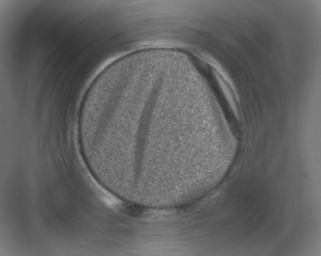 X0000081351187200702082246