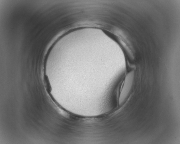 X0000081351188200702082246