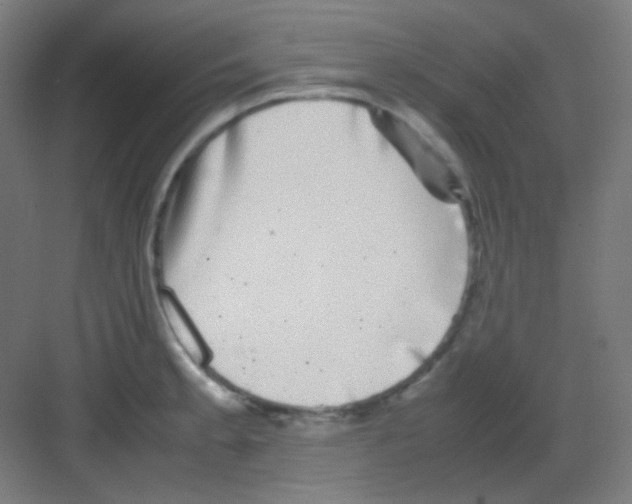 X0000081351189200702082246