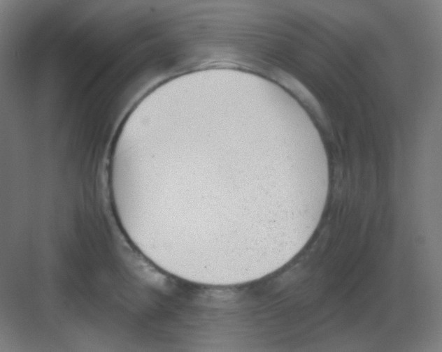 X0000081351190200702082246