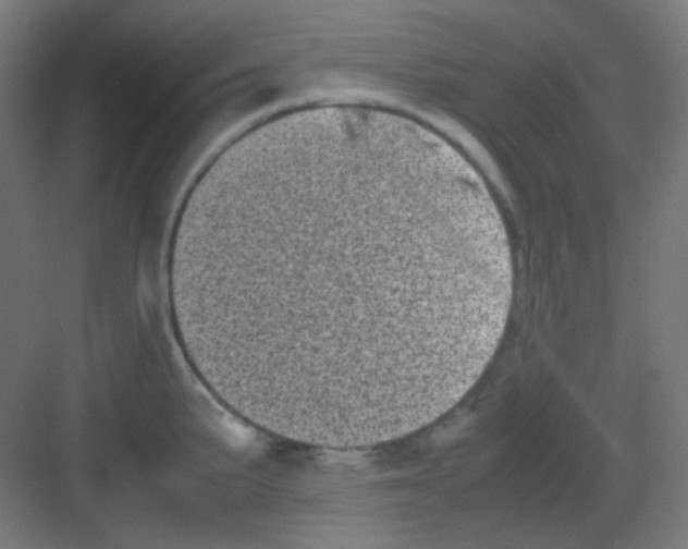 X0000081351191200702082246