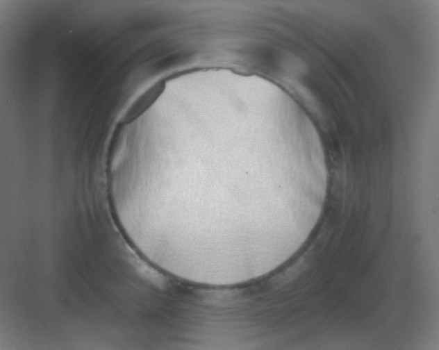 X0000081351192200702082246