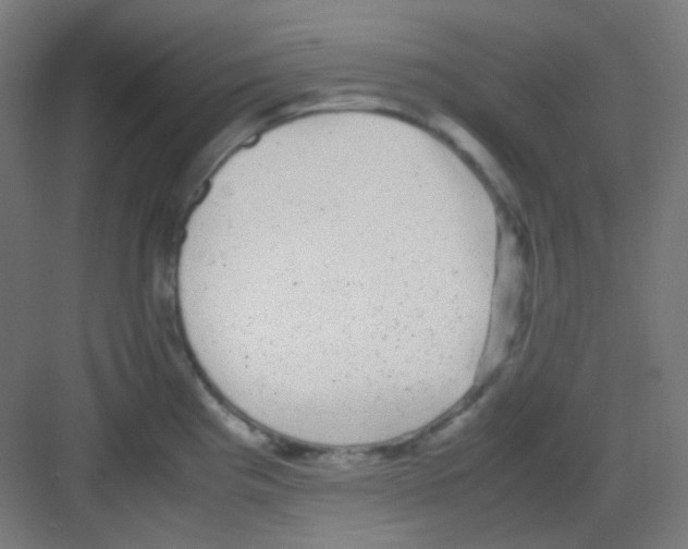 X0000081351193200702082246