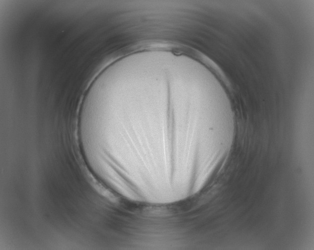 X0000081351194200702082246