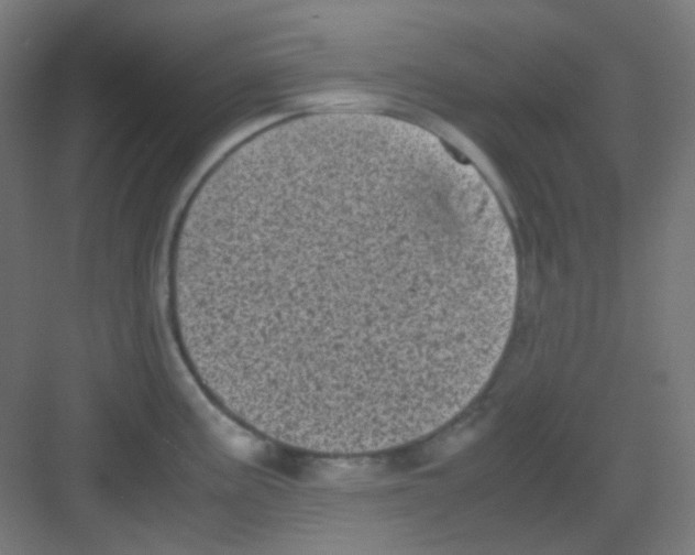 X0000081351195200702082246