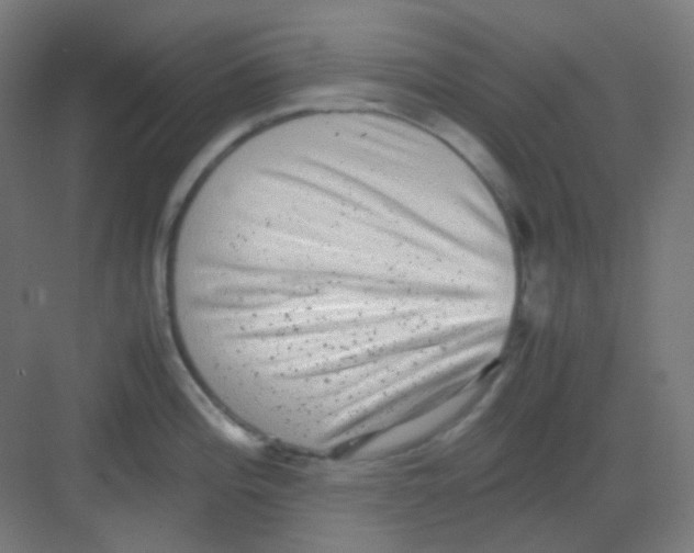 X0000081351196200702082246