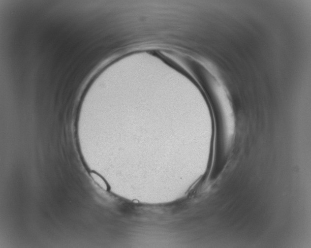 X0000081351197200702082246