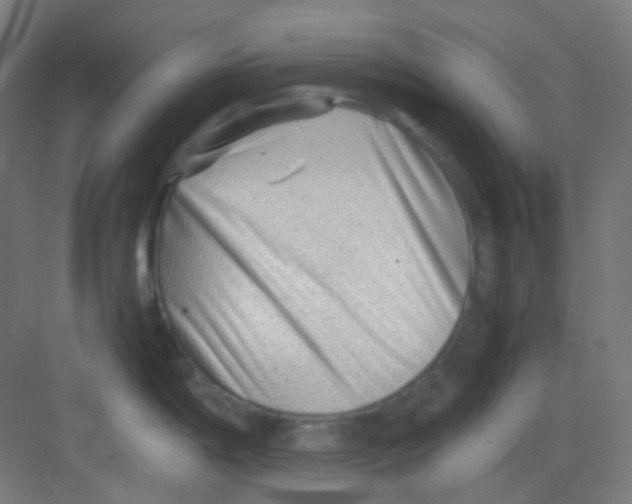 X0000081351198200702082246