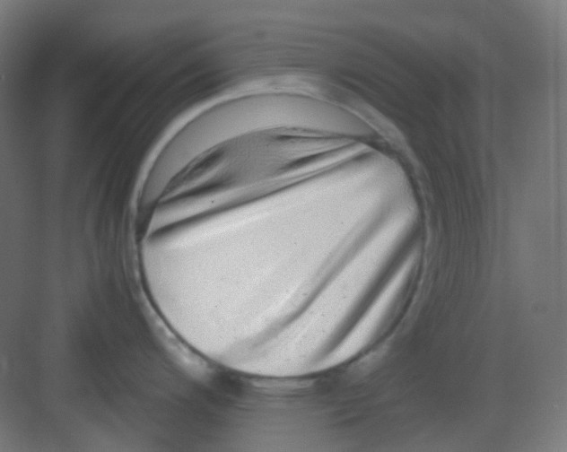 X0000081351200200702082246