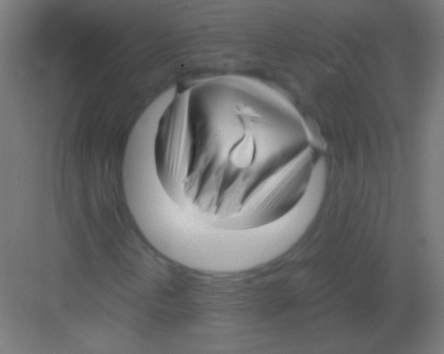 X0000081351202200702082245