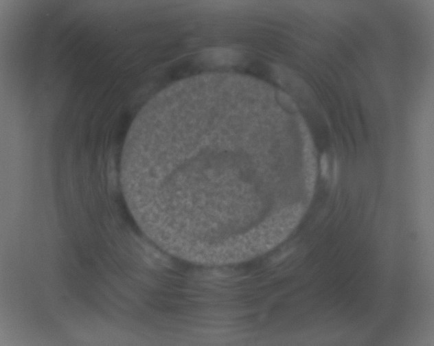 X0000081351203200702082245