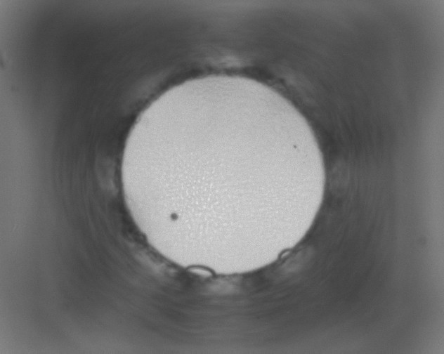 X0000081351205200702082245