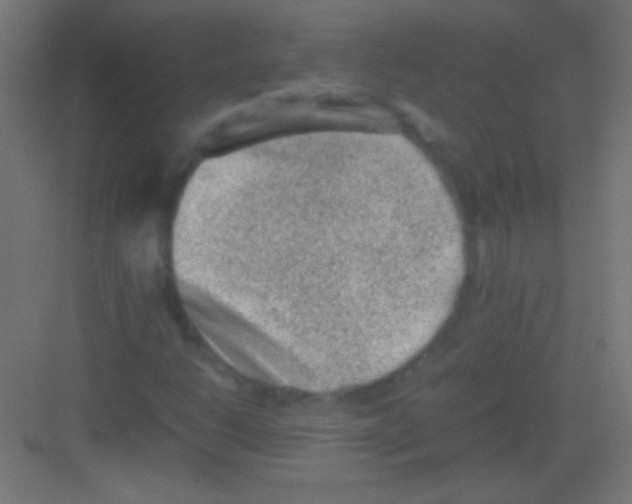 X0000081351206200702082246