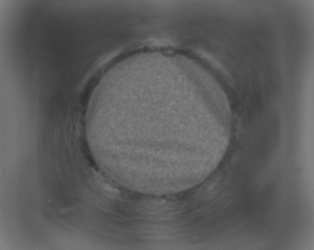 X0000081351207200702082246