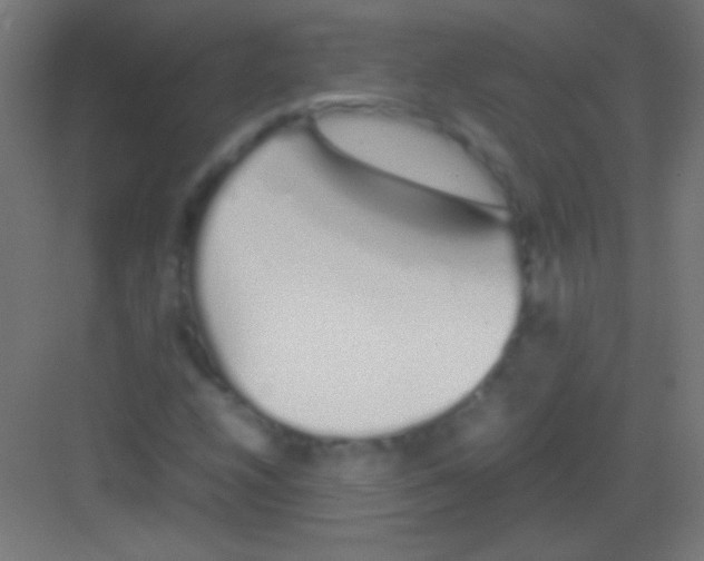 X0000081351208200702082246