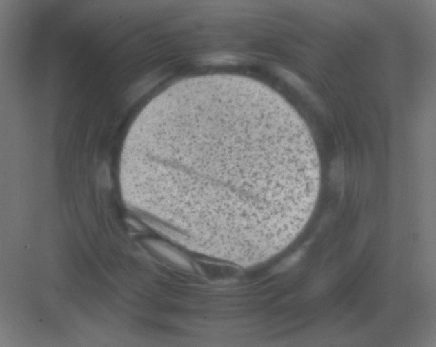 X0000081351209200702082246