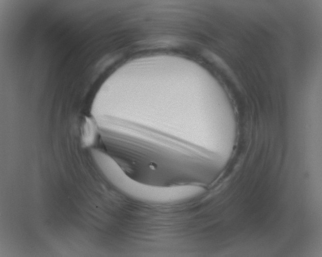 X0000081351210200702082246