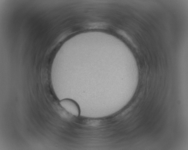 X0000081351211200702082246