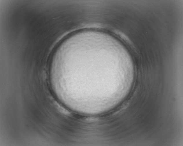 X0000081351212200702082246