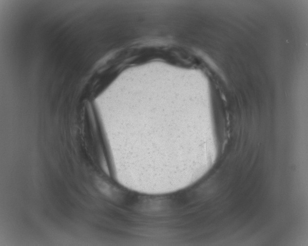 X0000081351213200702082246