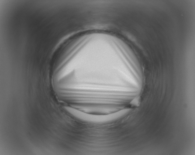 X0000081351214200702082246