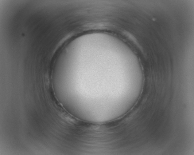 X0000081351218200702082246