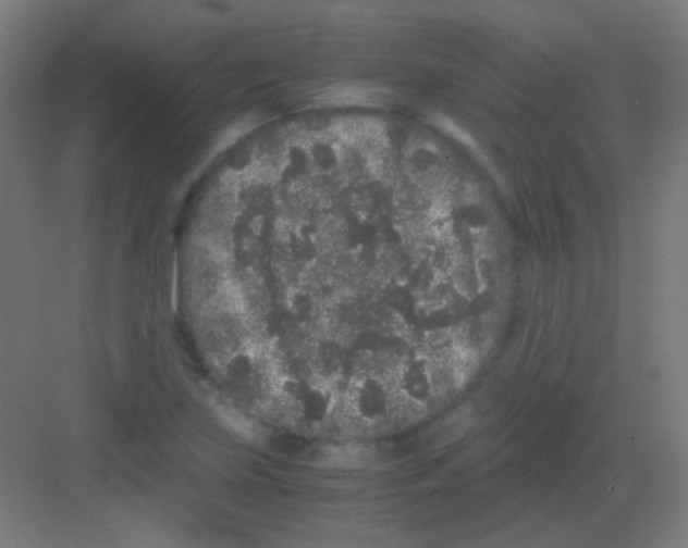 X0000081351219200702082246