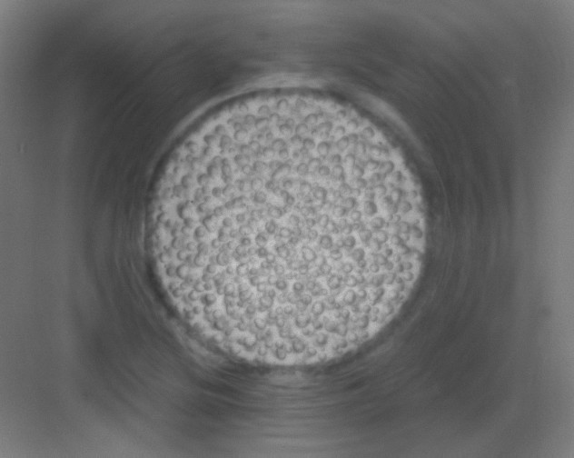 X0000081351220200702082246