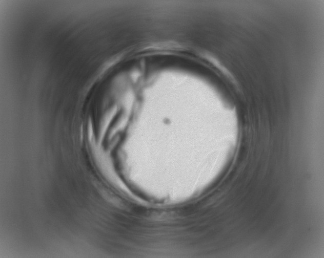 X0000081351221200702082246