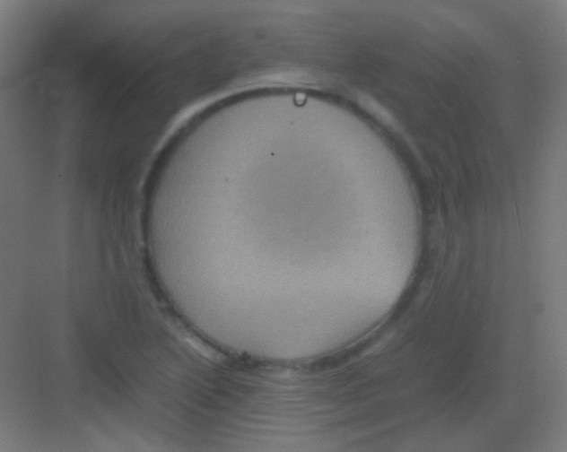 X0000081351222200702082246