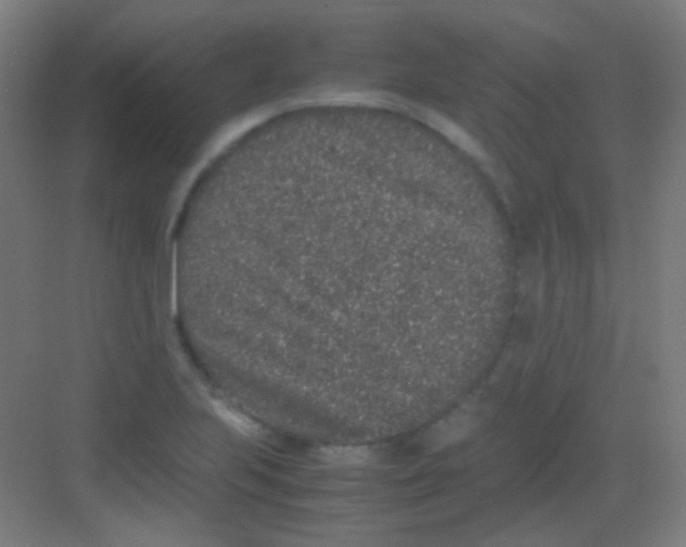 X0000081351223200702082246