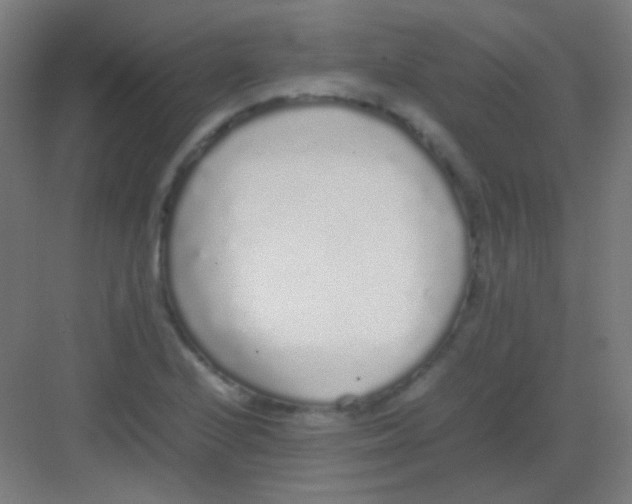 X0000081351224200702082246