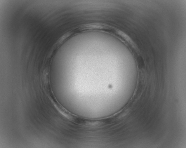 X0000081351225200702082246