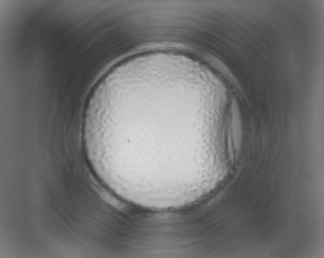 X0000081351228200702082246