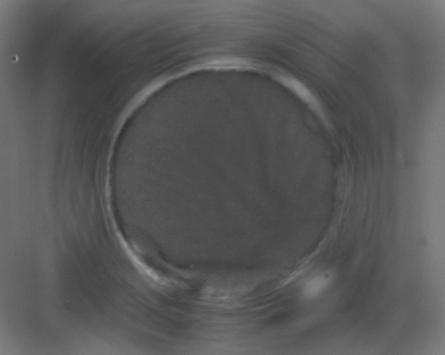 X0000081351229200702082246