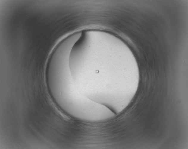 X0000081351230200702082246