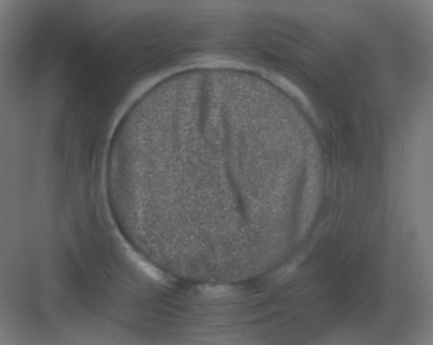 X0000081351231200702082246